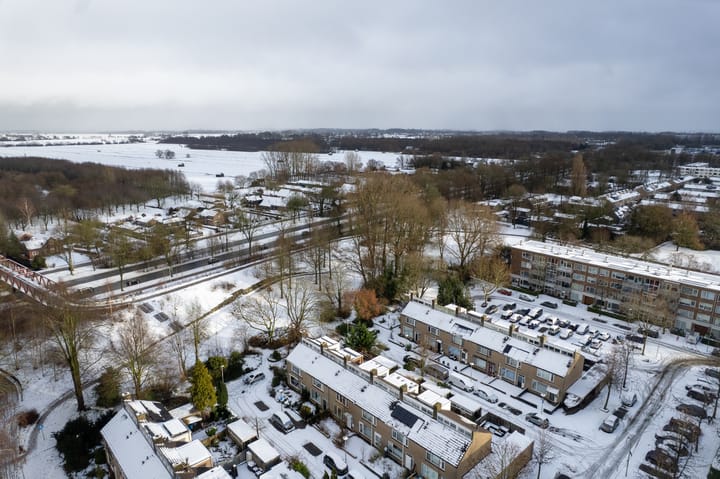 Foto 42 van Maniladreef 6