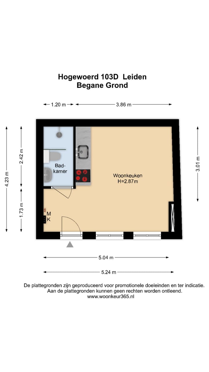 Foto 14 van Hogewoerd 103-D
