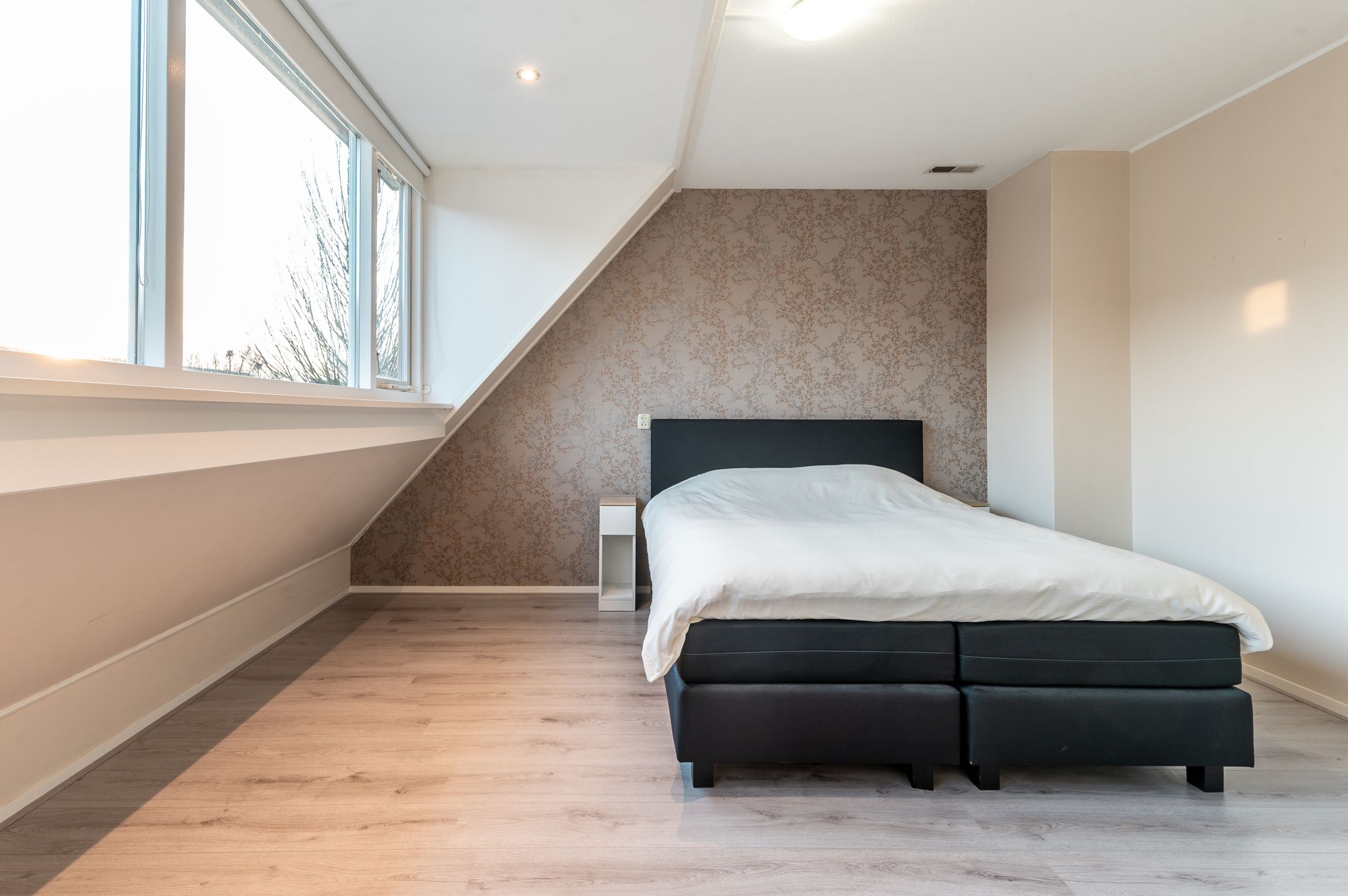 Foto 18 van Schoener 35 11