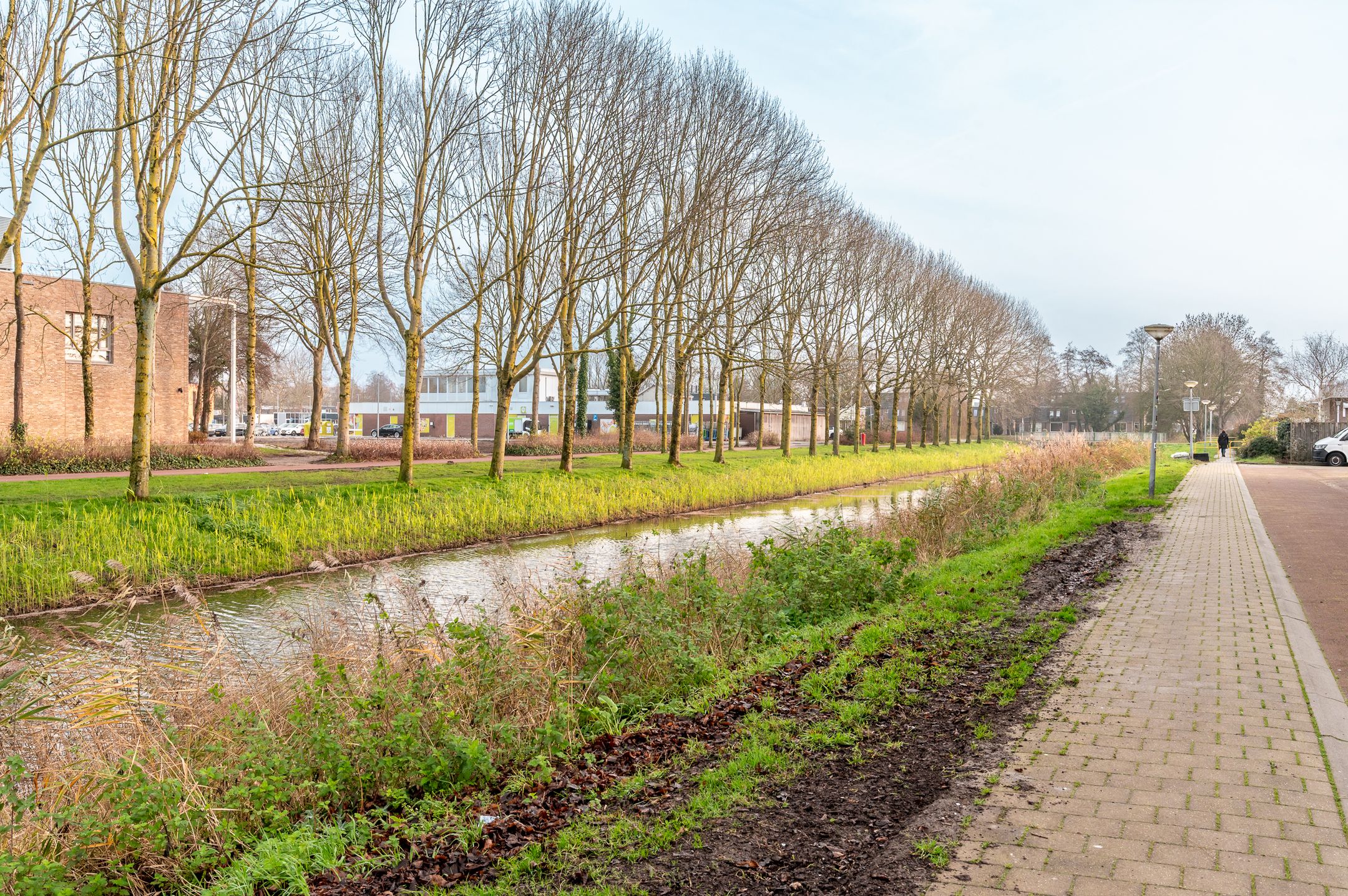 Foto 36 van Schoener 35 11