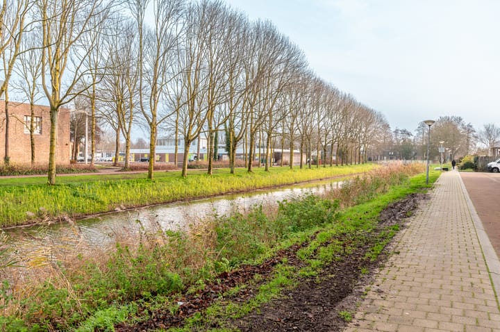 Foto 36 van Schoener 35 11