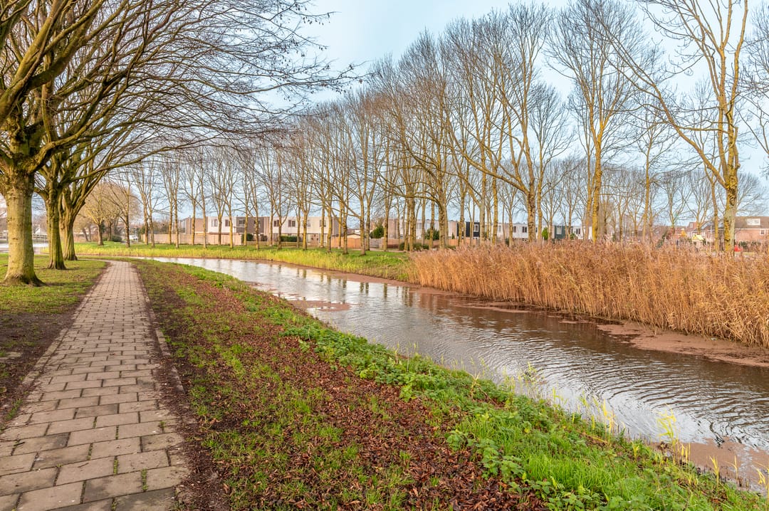 Foto 37 van Schoener 35 11