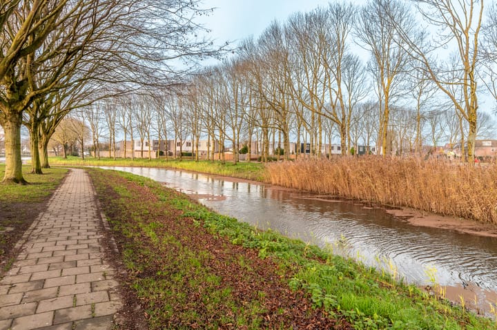 Foto 37 van Schoener 35 11