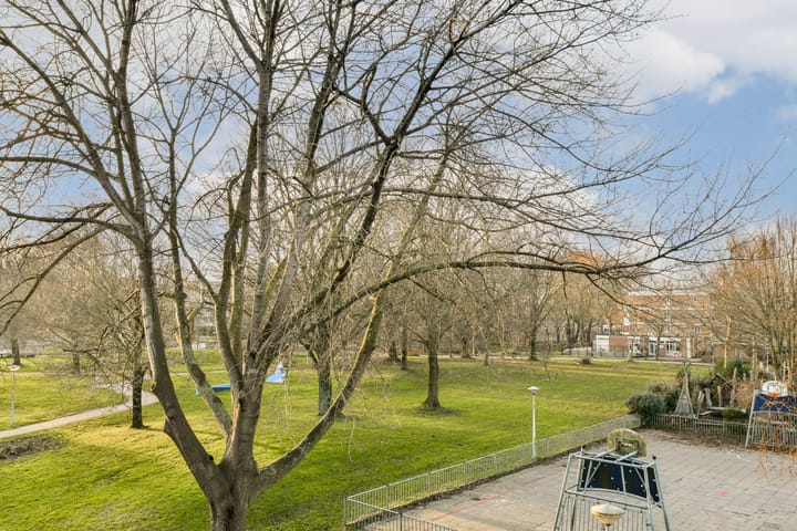 Foto 11 van Spinaker 153