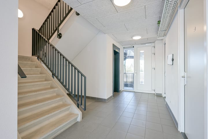 Foto 5 van Westerpark 146