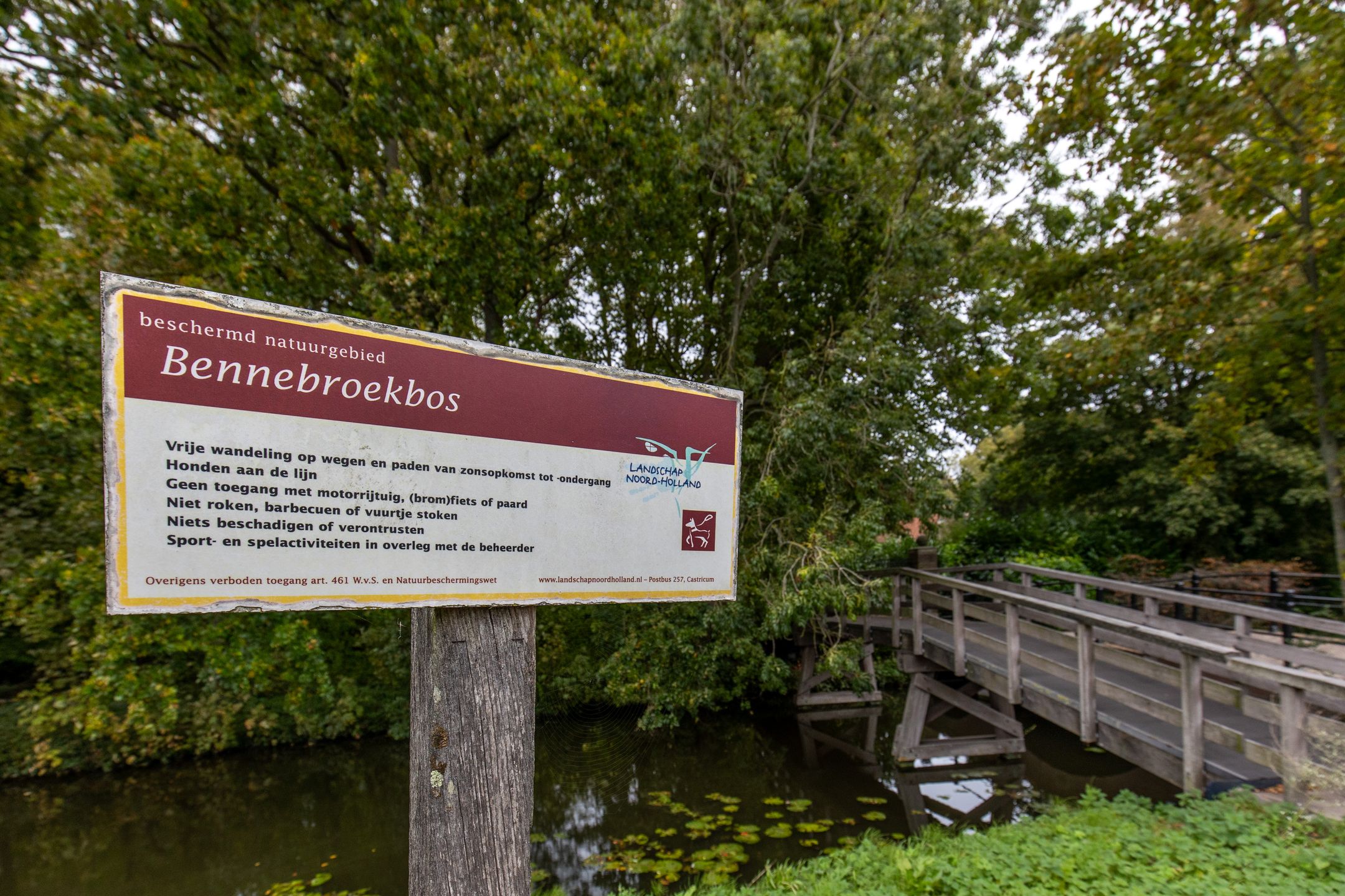 Foto 36 van Meerweg 17