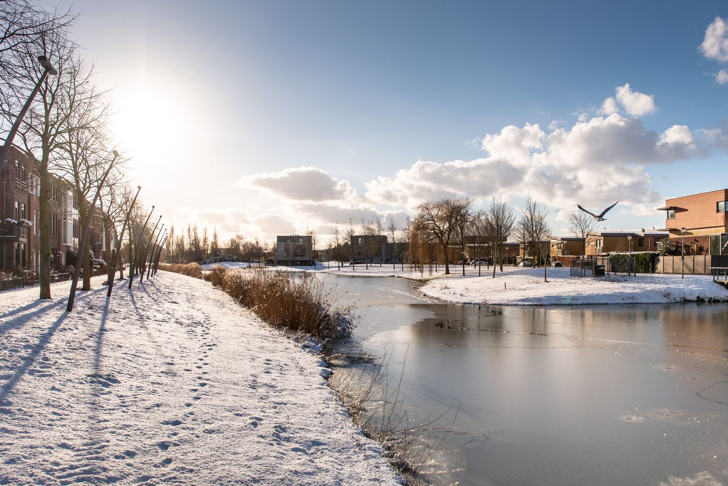 Foto 29 van Rigolettosingel 48