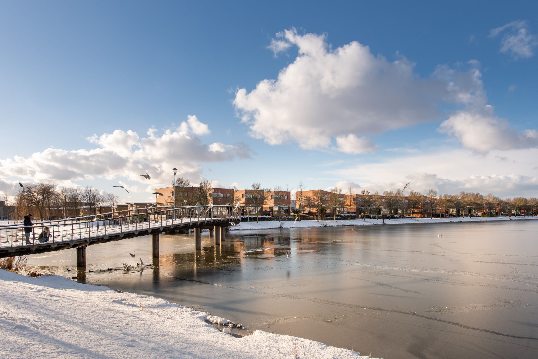 Foto 30 van Rigolettosingel 48