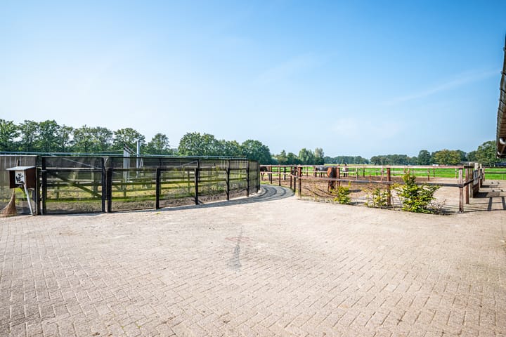 Foto 50 van Oosterveen 35