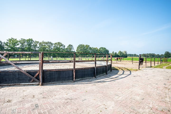 Foto 53 van Oosterveen 35