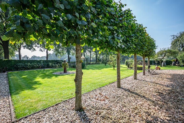 Foto 60 van Oosterveen 35