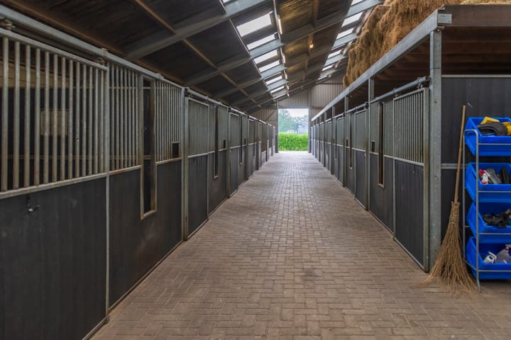 Foto 41 van Oosterveen 35