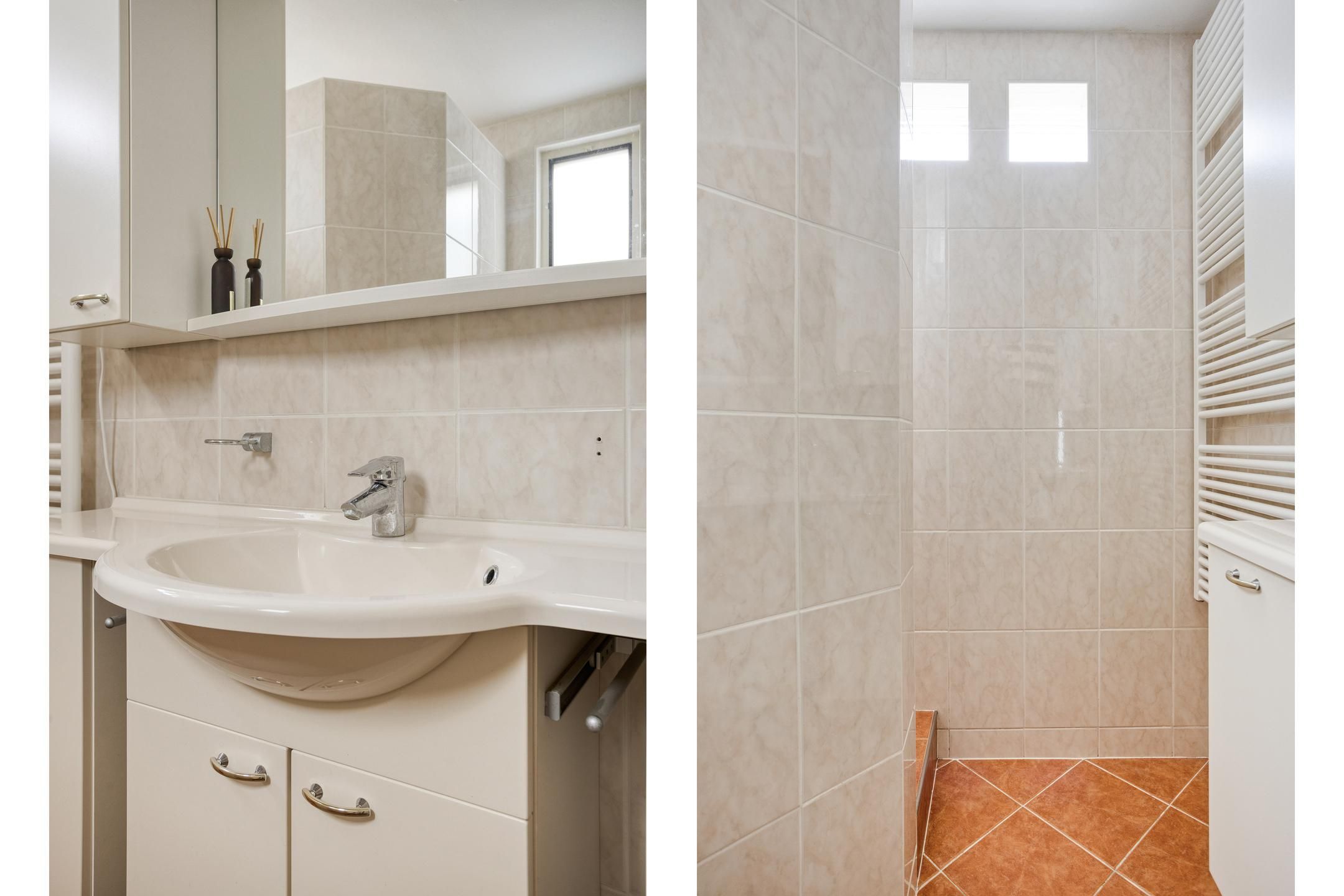 Foto 24 van Korenbloem 24