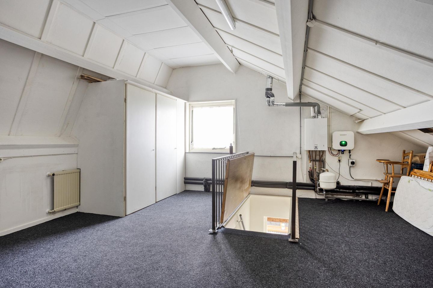 Foto 25 van Korenbloem 24