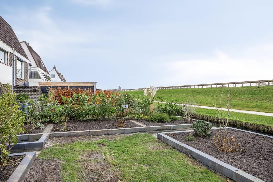 Foto 32 van Korenbloem 24