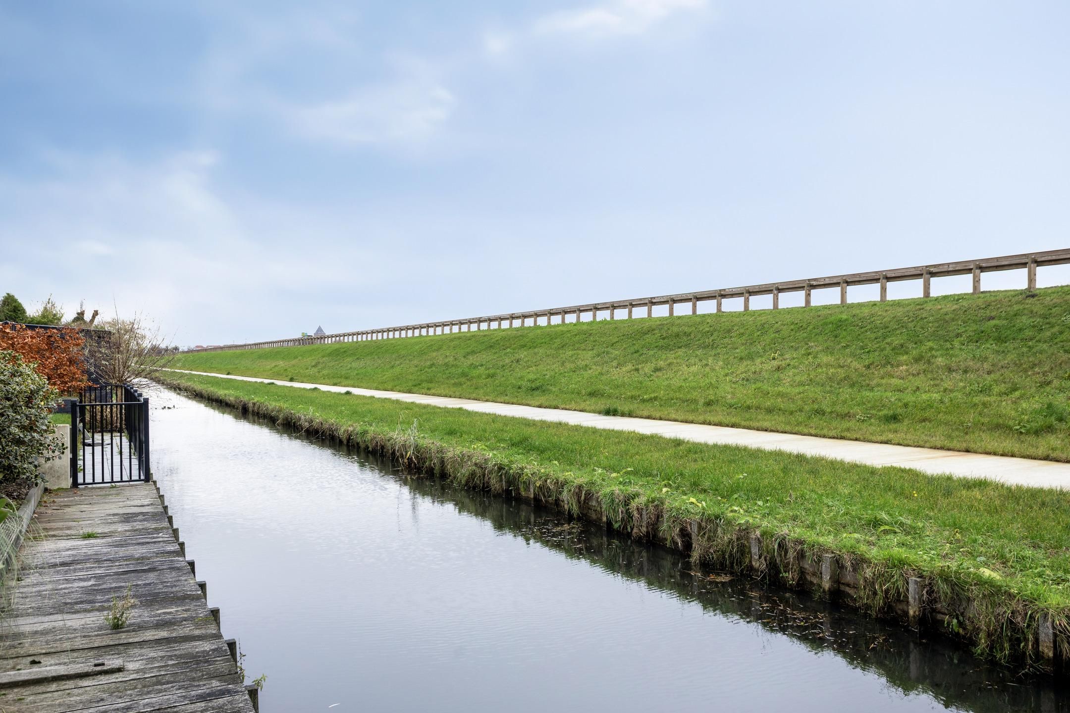 Foto 33 van Korenbloem 24