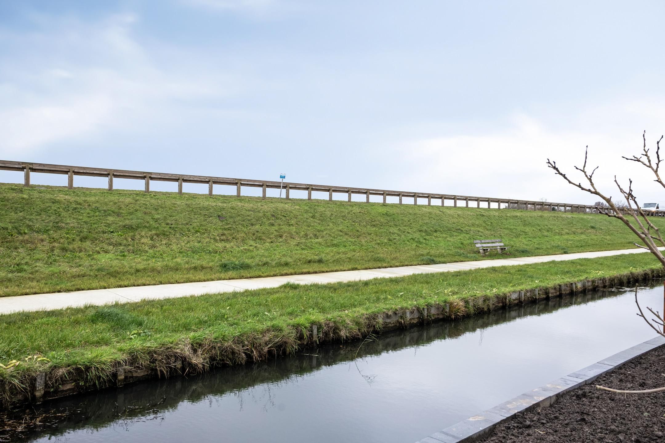 Foto 36 van Korenbloem 24