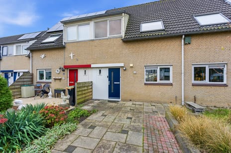 undefined main image