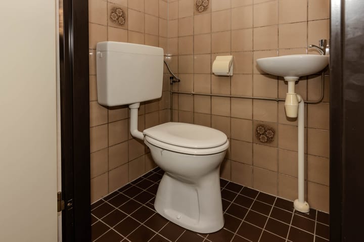 Foto 9 van Buntgras 17