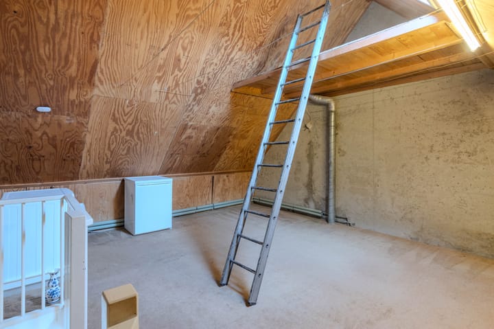 Foto 21 van Buntgras 17