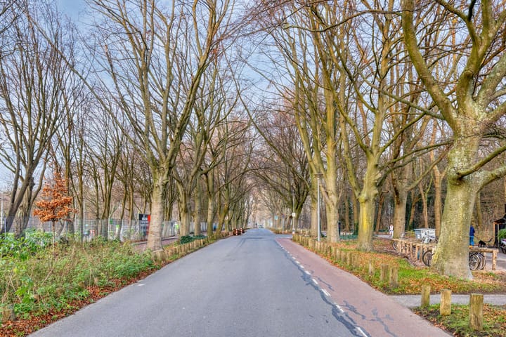 Foto 50 van Ramlehweg 32-A