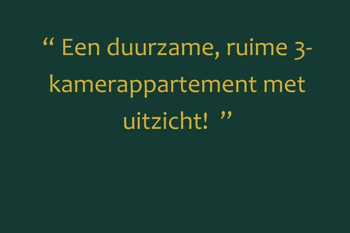 Foto 6 van Thetfordstraat 172