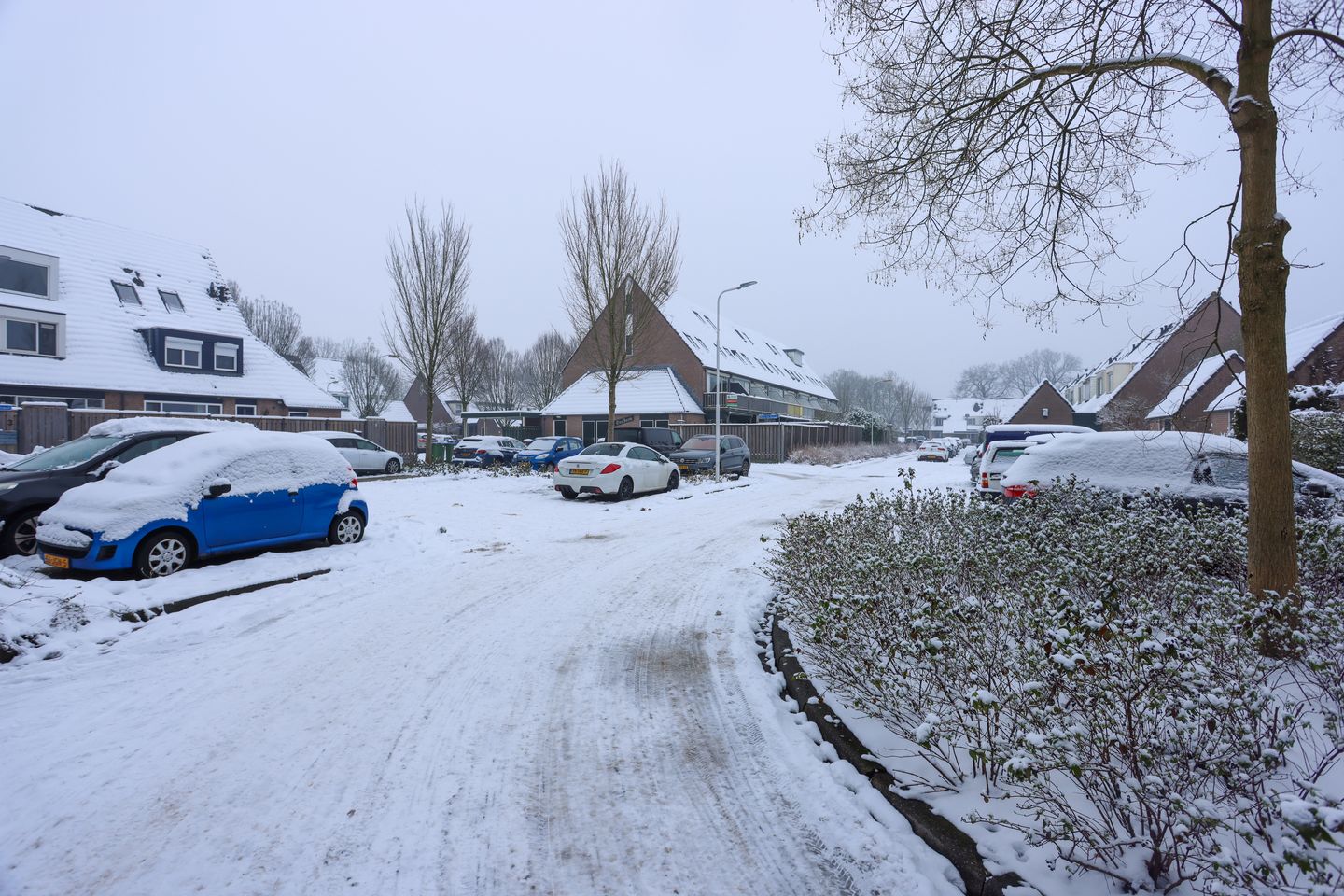 Foto 4 van Paulus Potterstraat 6