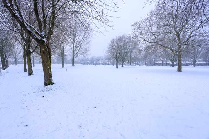 Foto 5 van Paulus Potterstraat 6