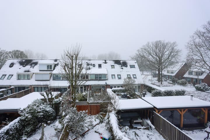 Foto 25 van Paulus Potterstraat 6