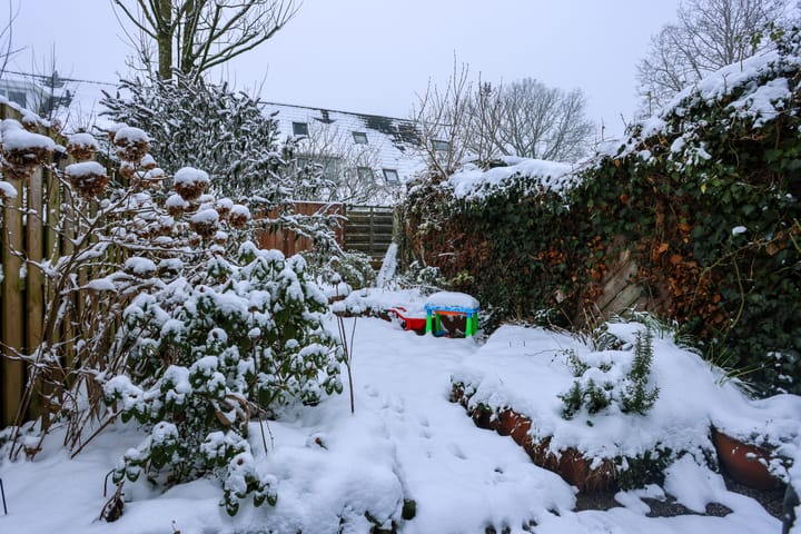 Foto 29 van Paulus Potterstraat 6