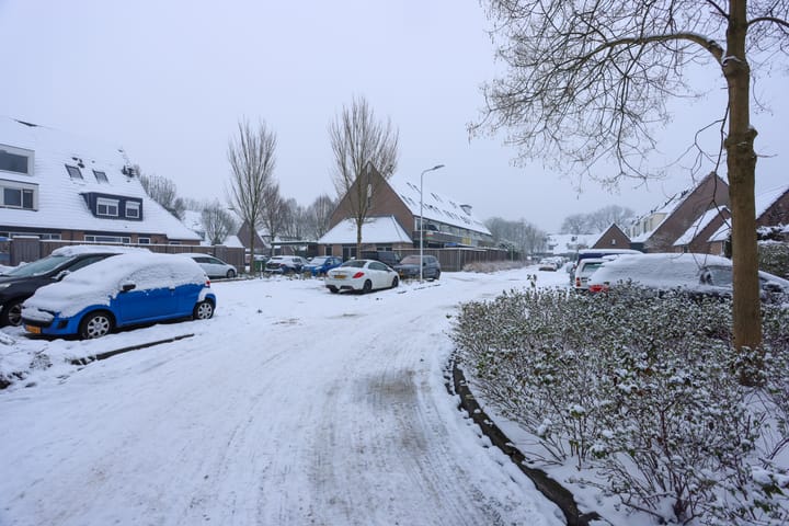 Foto 30 van Paulus Potterstraat 6