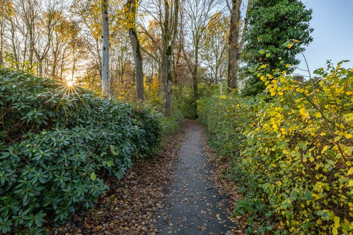 Foto 34 van Thorbeckelaan 142