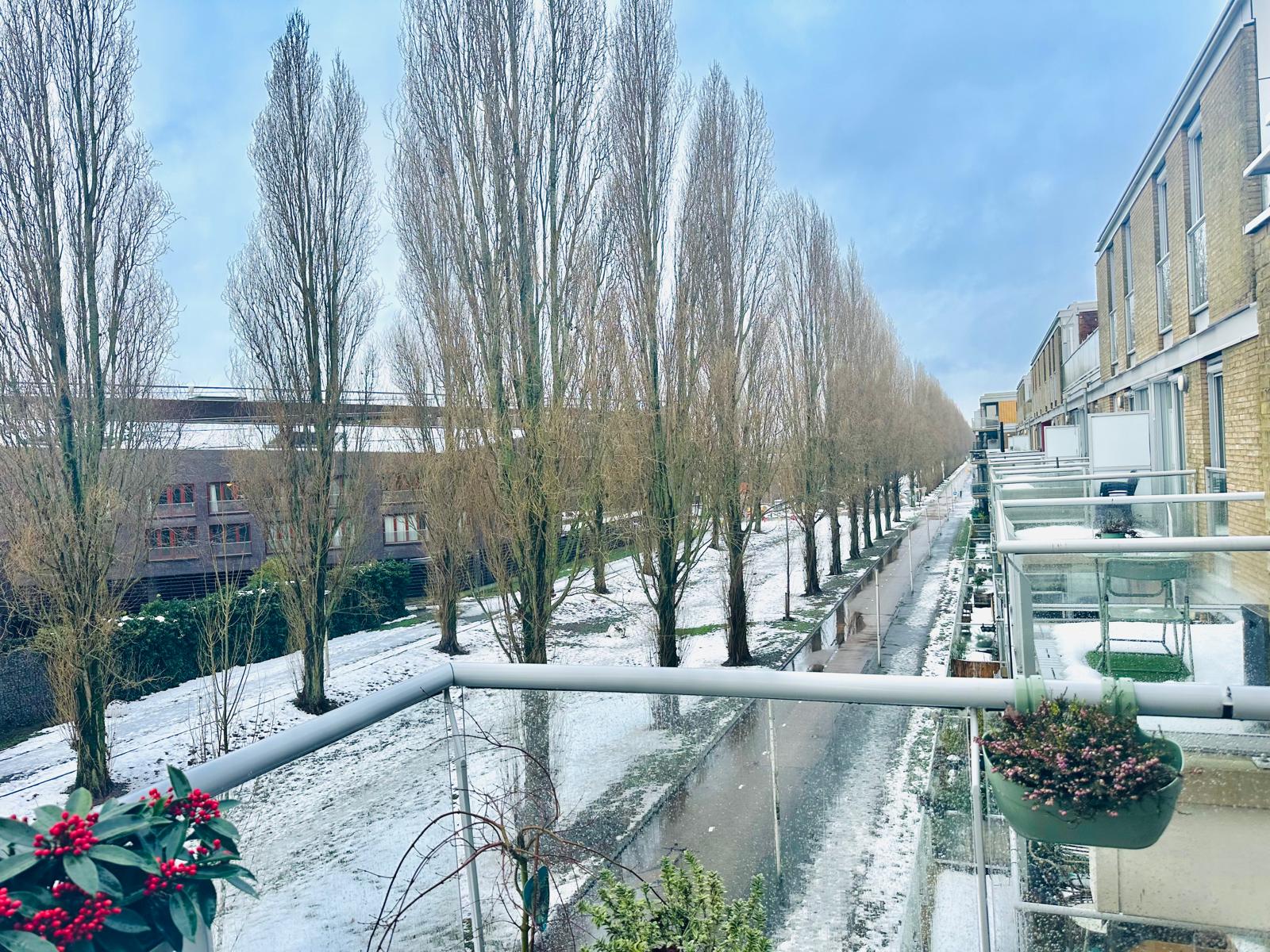 Foto 15 van Oscar Hammersteinstraat 53