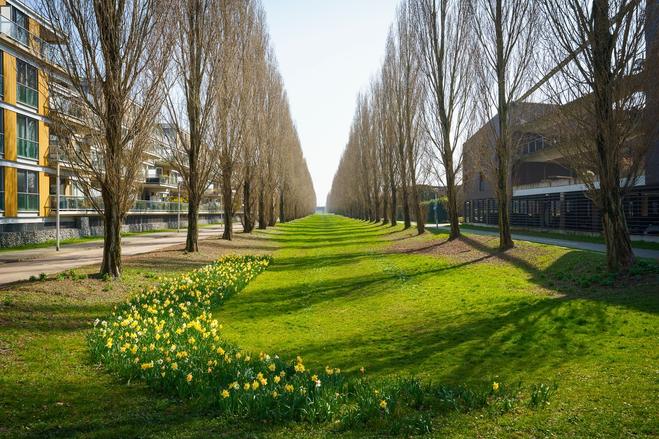 Foto 36 van Oscar Hammersteinstraat 53