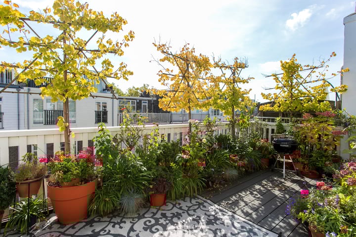 Foto 55 van Valeriusstraat 235-2