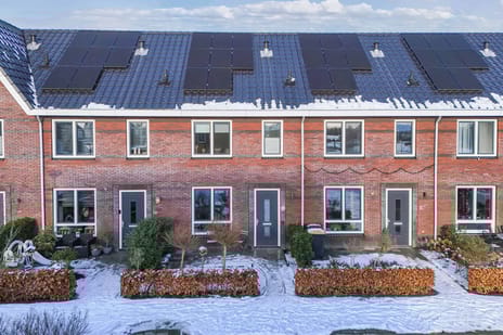 undefined main image