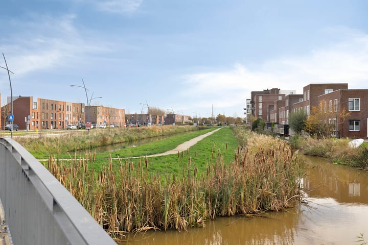 Foto 21 van Sierra Nevada 64