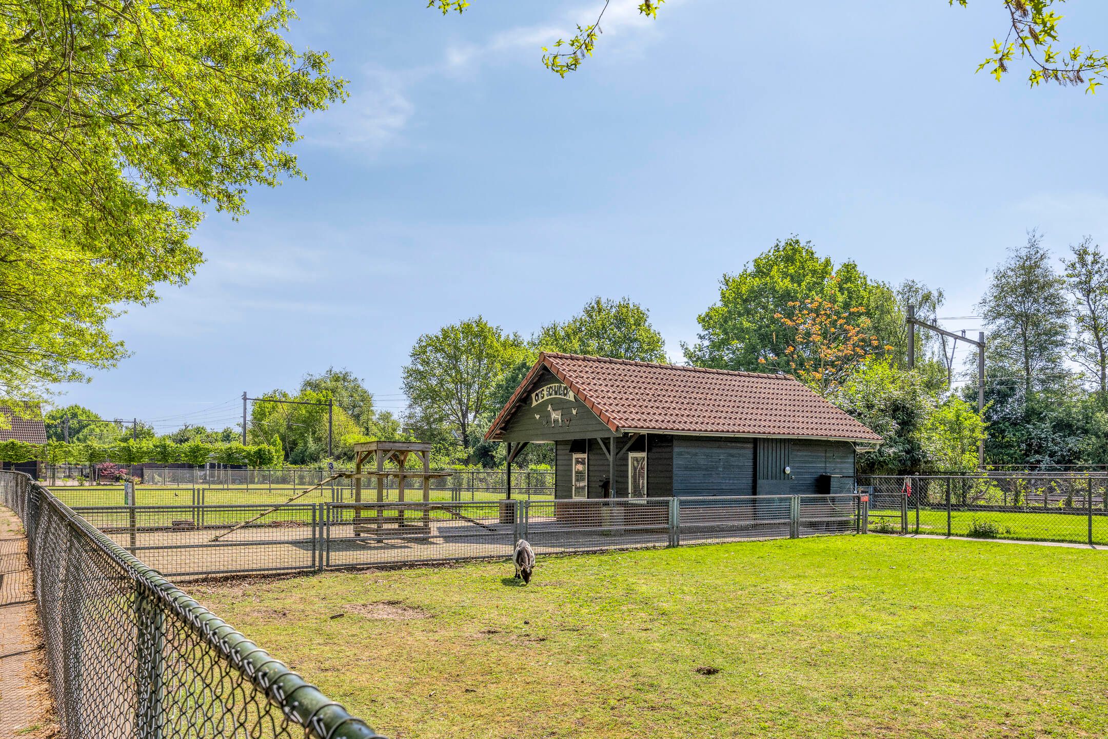 Photo 39 of Ploeg 18