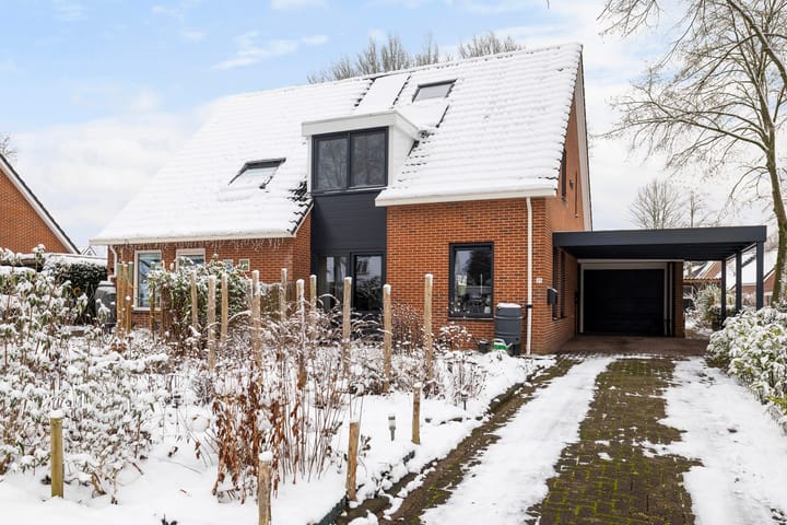 Boerhoorn 23 main image