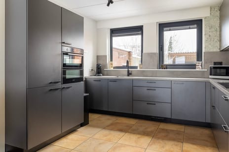 Boerhoorn 23 tertiary image