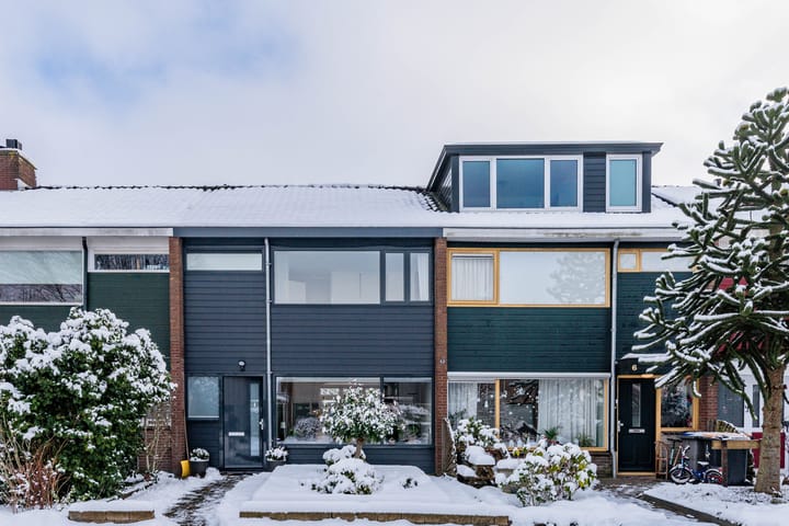 De Savornin Lohmanweg 8 main image