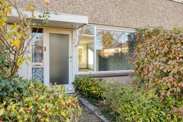 Foto 3 van Wadestein 6