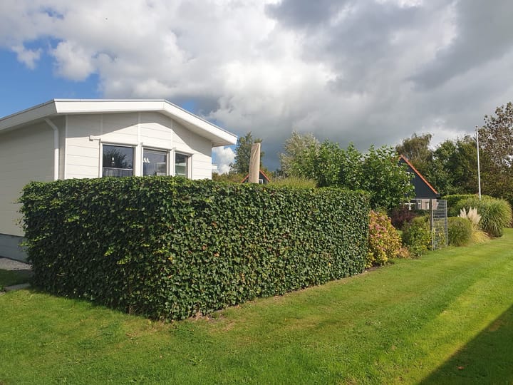 Foto 3 van Lynbaen 10