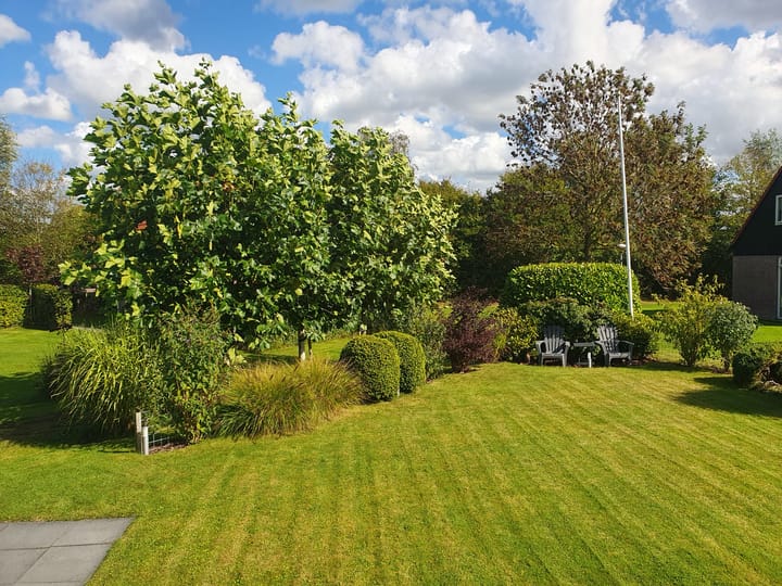 Foto 5 van Lynbaen 10