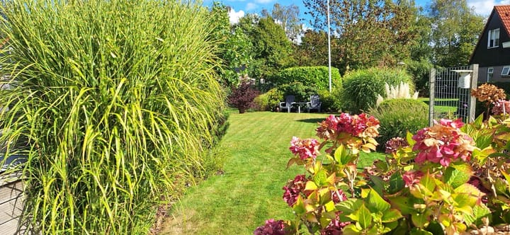 Foto 6 van Lynbaen 10