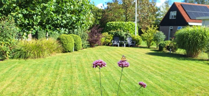 Foto 7 van Lynbaen 10