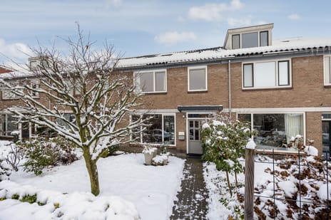 Scholeksterstraat thumbnail