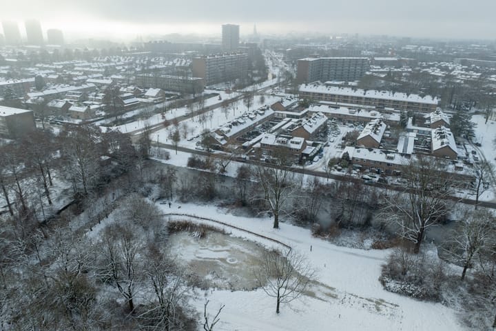 Foto 2 van Scholeksterstraat 3