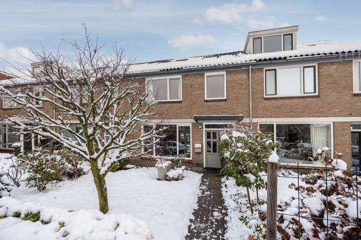 Foto 6 van Scholeksterstraat 3