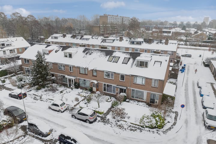 Foto 9 van Scholeksterstraat 3